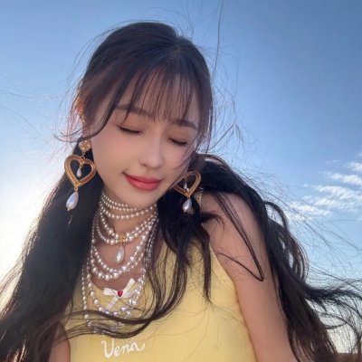 方案